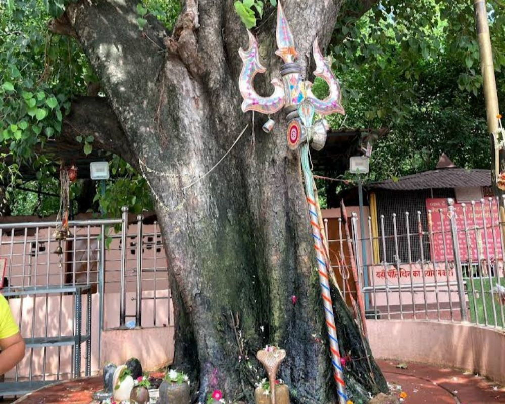 Temple Image 3