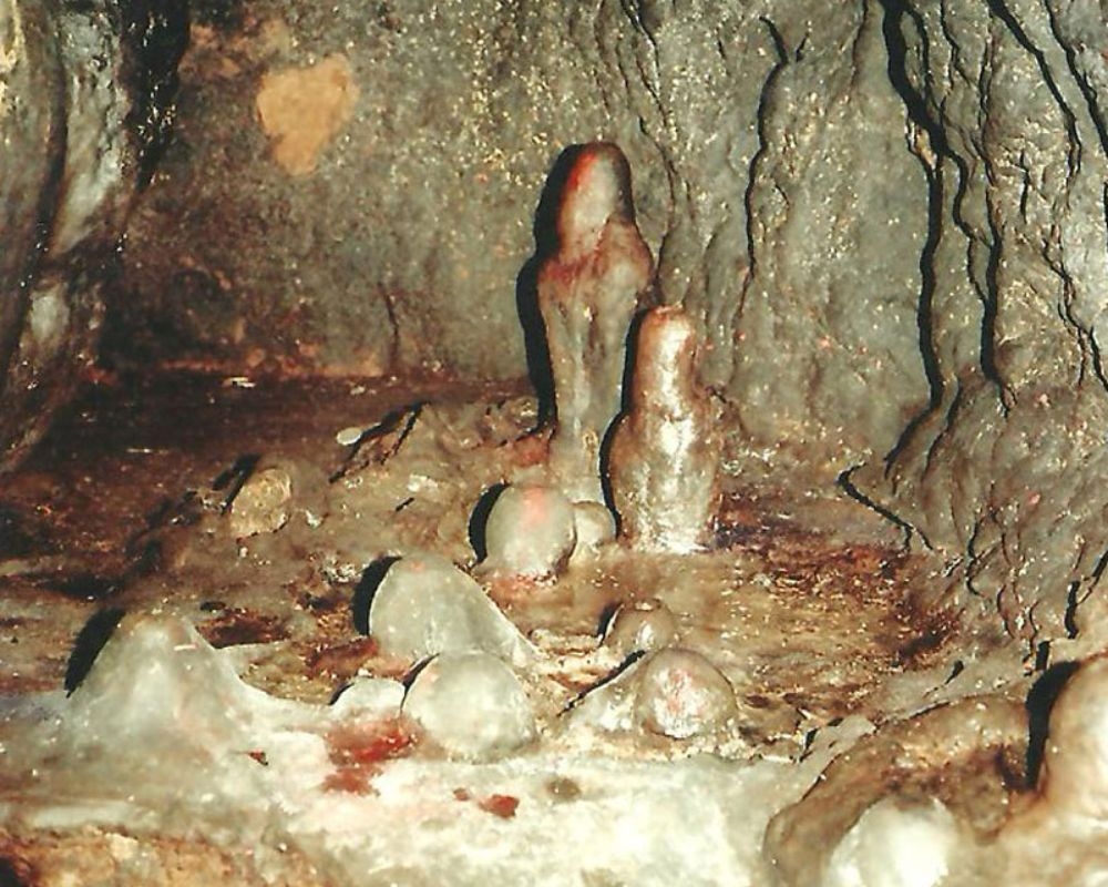 Temple Image 4