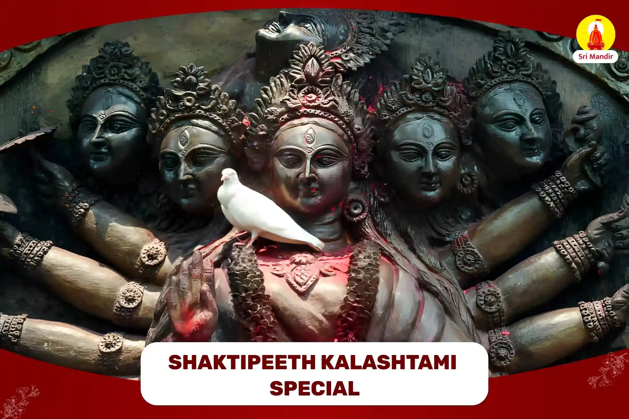 puja-gallery-image