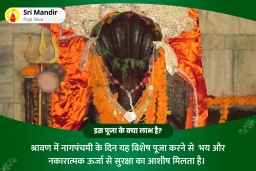 puja-gallery-image
