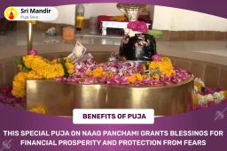 puja-gallery-image