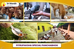 puja-gallery-image