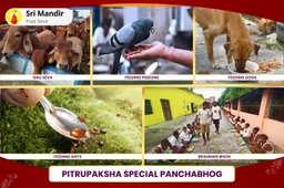 puja-gallery-image