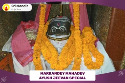 puja-gallery-image