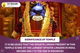 puja-gallery-image