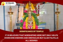 puja-gallery-image