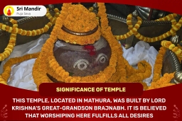 puja-gallery-image
