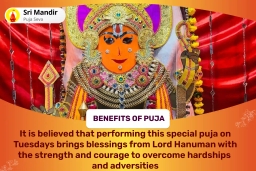 puja-gallery-image