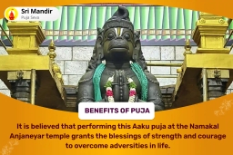 puja-gallery-image