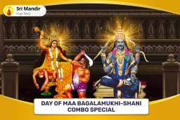 puja-gallery-image