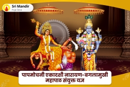 puja-gallery-image