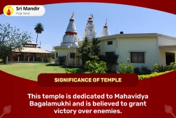 puja-gallery-image