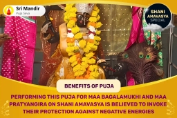 puja-gallery-image