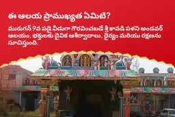 puja-gallery-image