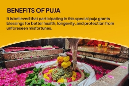 puja-gallery-image