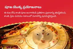 puja-gallery-image