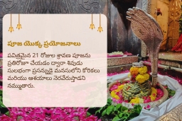 puja-gallery-image