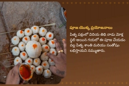 puja-gallery-image