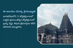 puja-gallery-image