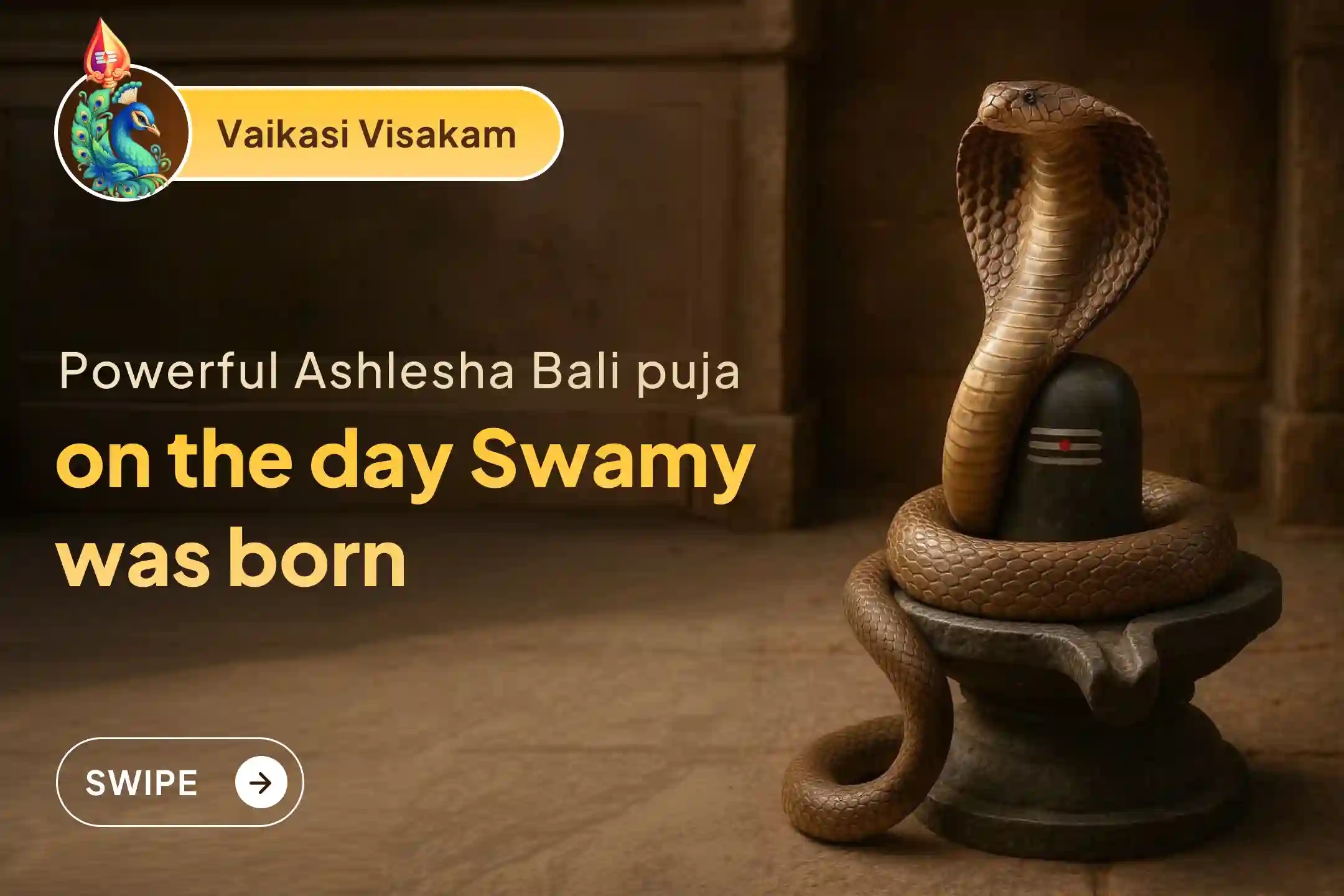 puja-gallery-image