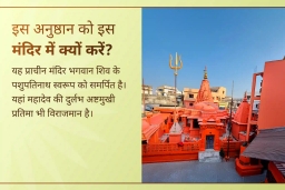 puja-gallery-image