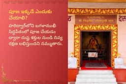 puja-gallery-image