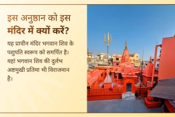 puja-gallery-image