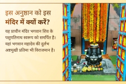 puja-gallery-image