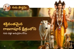 puja-gallery-image