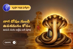 puja-gallery-image