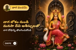 puja-gallery-image