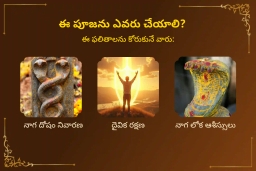 puja-gallery-image