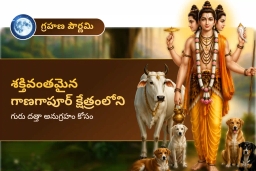 puja-gallery-image