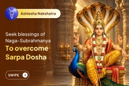 puja-gallery-image