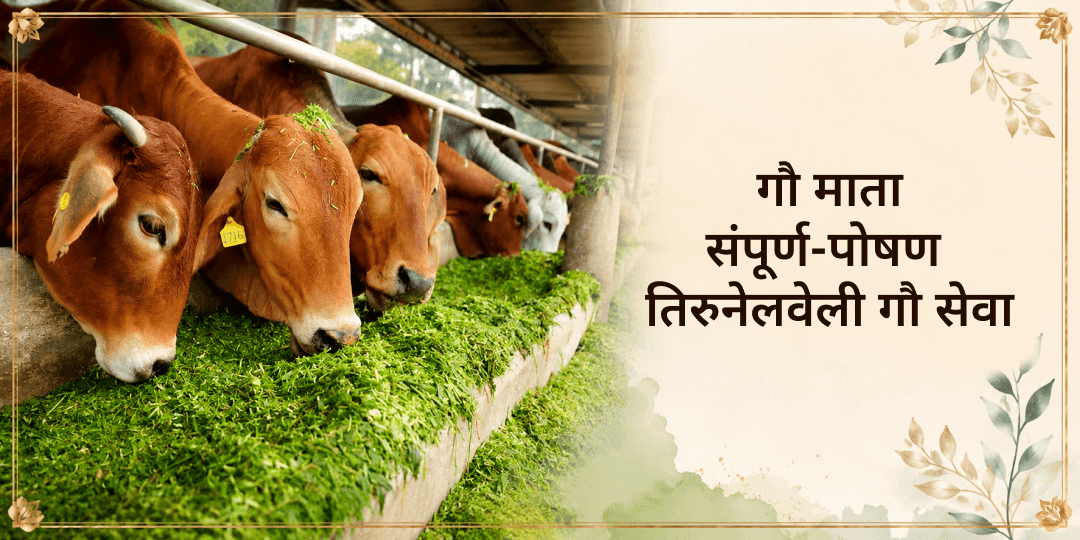 तिरुनेलवेली गौ सेवा
