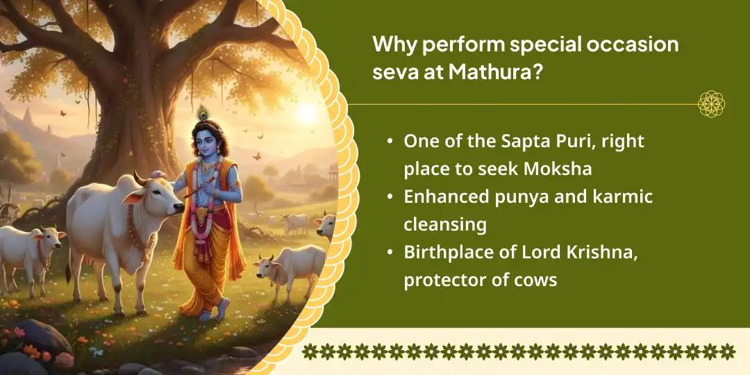 Gau Mata Seva in Mathura