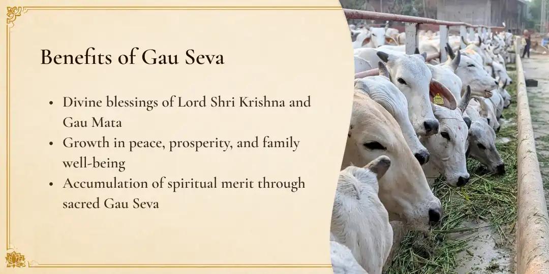 Gau Mata Seva in Tirunelveli