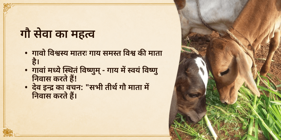 तिरुनेलवेली गौ सेवा
