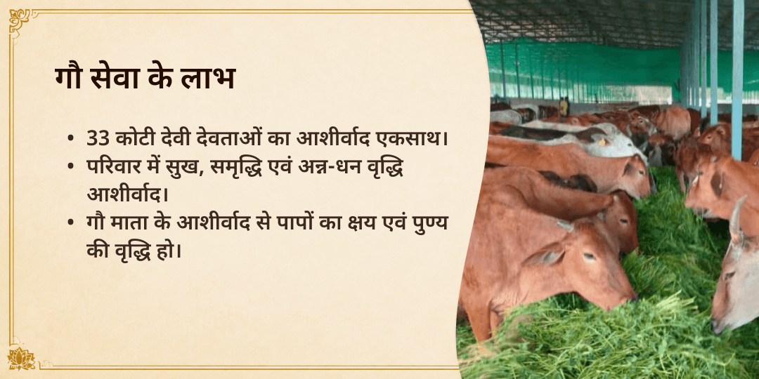 तिरुनेलवेली गौ सेवा
