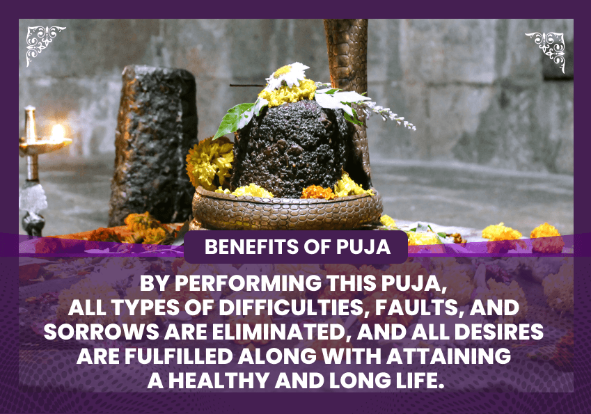 1008 chantings of the Mahamrityunjaya mantra, Mrityunjaya Yajna, and Rudrabhisheka for good health and protection