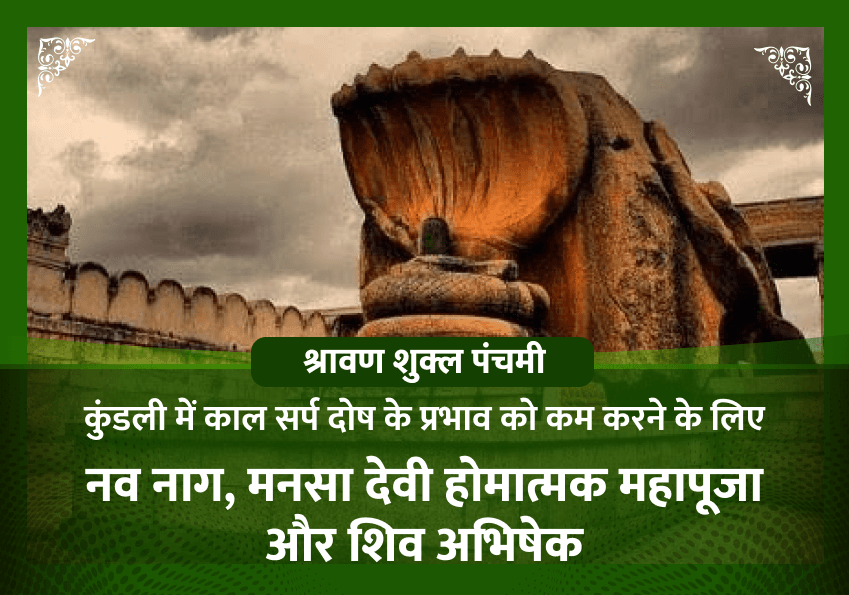 नाग पंचमी विशेष नव नाग, मनसा देवी होमात्मक महापूजा और शिव अभिषेक