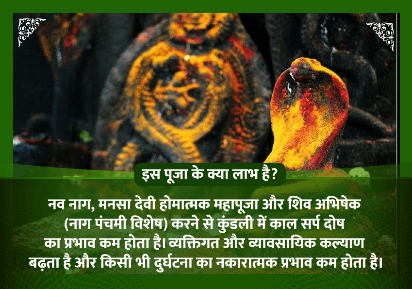नाग पंचमी विशेष नव नाग, मनसा देवी होमात्मक महापूजा और शिव अभिषेक