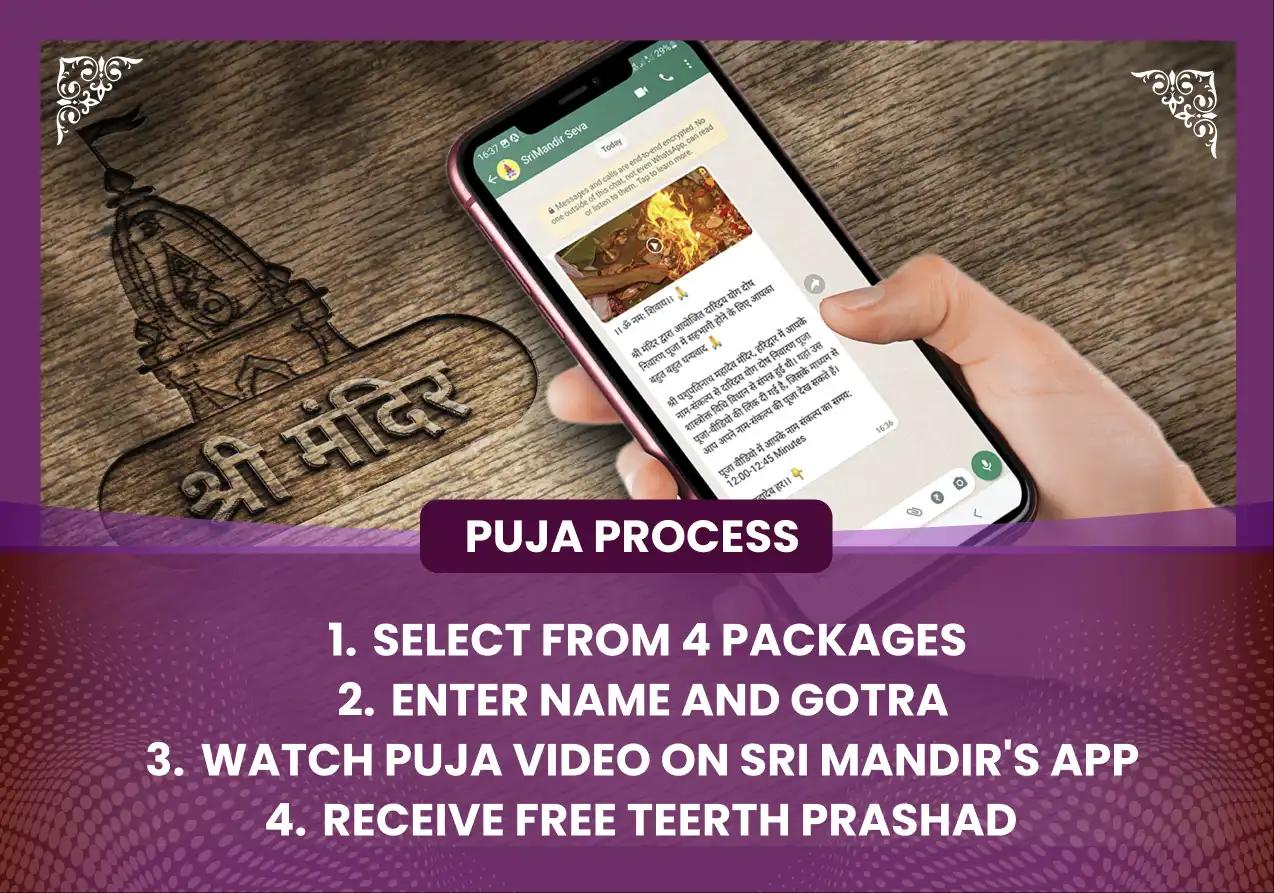  Ashwin Shukla Dwadashi Special Navagraha Peeda Shanti Mahayagya and Rudrabhishek Puja