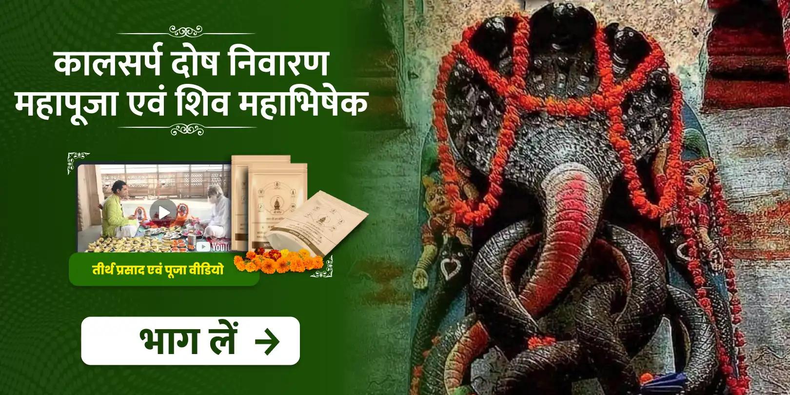 आश्विन कृष्ण षष्ठी विशेष कालसर्प दोष निवारण महापूजा एवं शिव महाभिषेक 