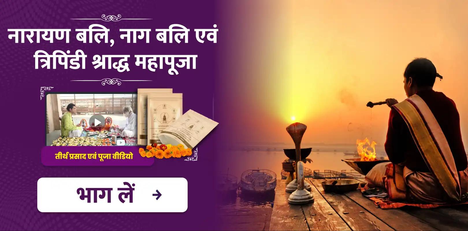 पितृ पक्ष एकादशी विशेष नारायण बलि, नाग बलि एवं त्रिपिंडी श्राद्ध महापूजा 
