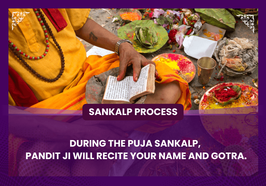 Pitru Shanti Mahapuja, Gau Seva, Anna Daan