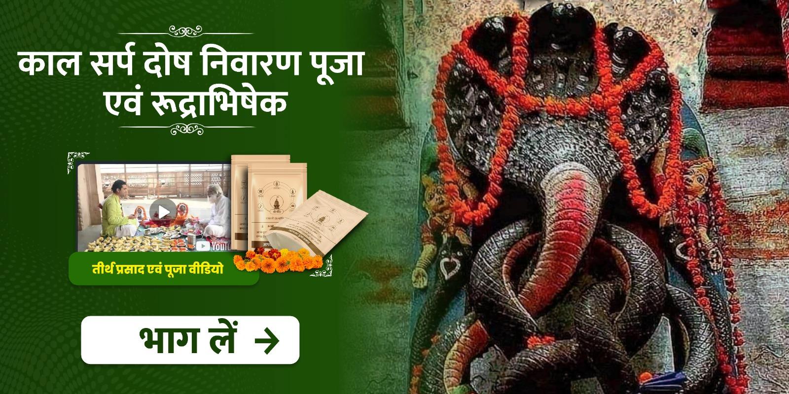 मार्गशीर्ष कृष्ण नवमी विशेष कालसर्प दोष शांति महापूजा एवं रुद्राभिषेक