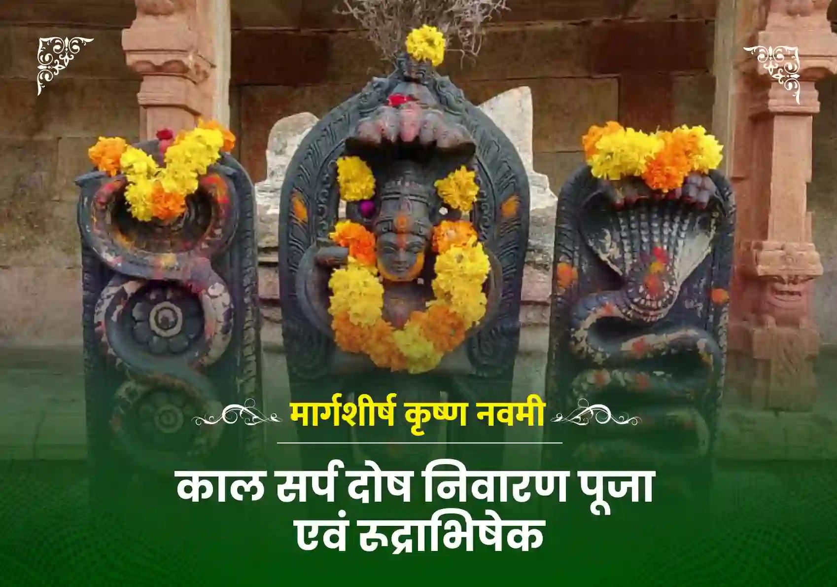 मार्गशीर्ष कृष्ण नवमी विशेष कालसर्प दोष शांति महापूजा एवं रुद्राभिषेक