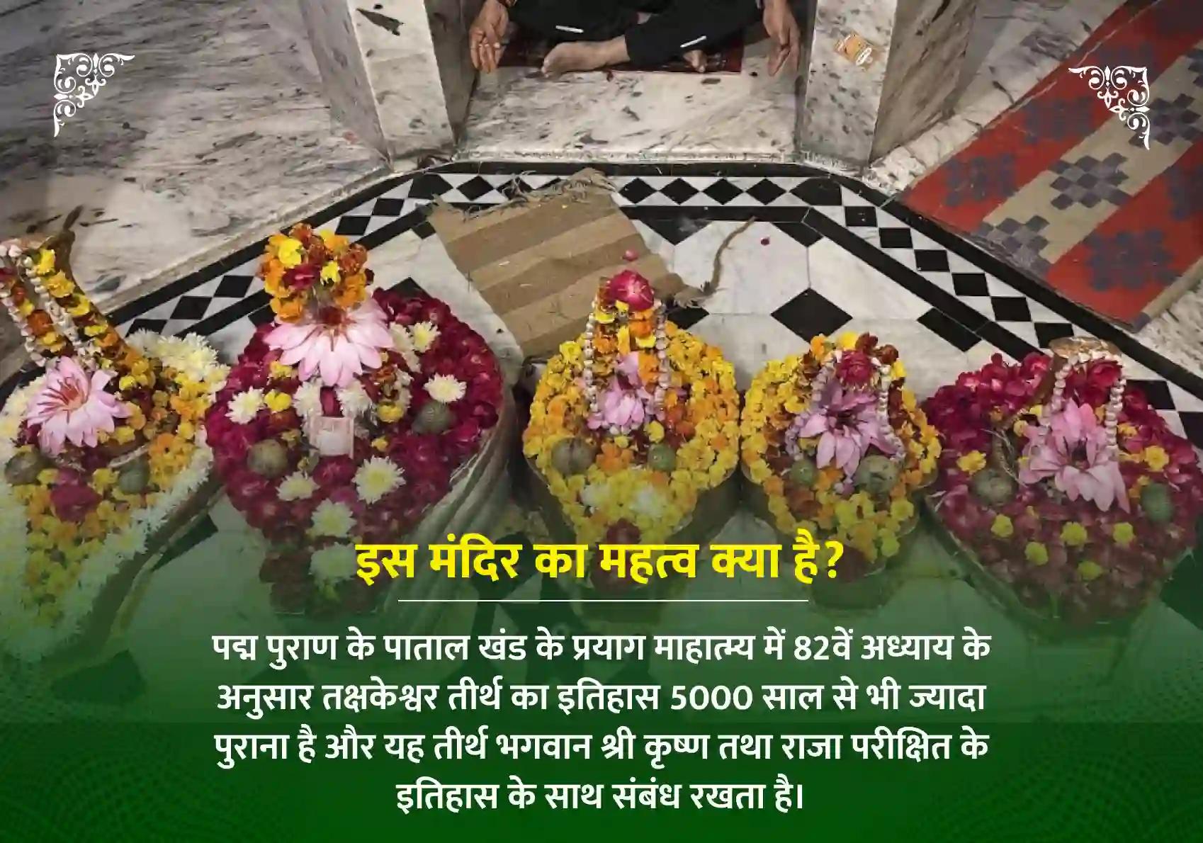 मार्गशीर्ष कृष्ण नवमी विशेष कालसर्प दोष शांति महापूजा एवं रुद्राभिषेक