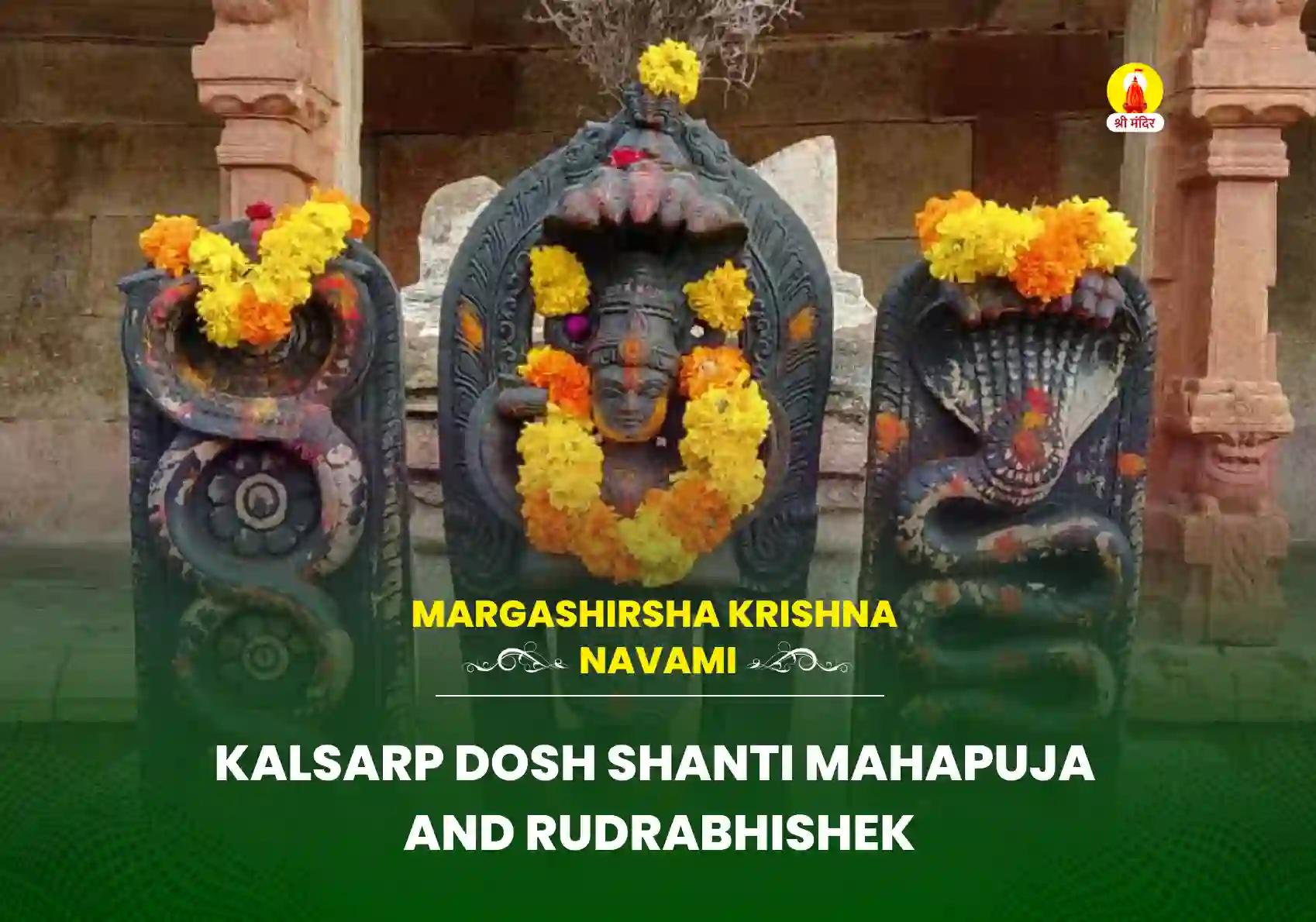 Margashirsha Krishna Navami Special Kalasarpa Dosha Removal Mahapuja and Rudrabhishek